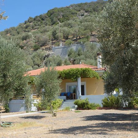 Melinda Holiday House Πλωμάρι Εξωτερικό φωτογραφία