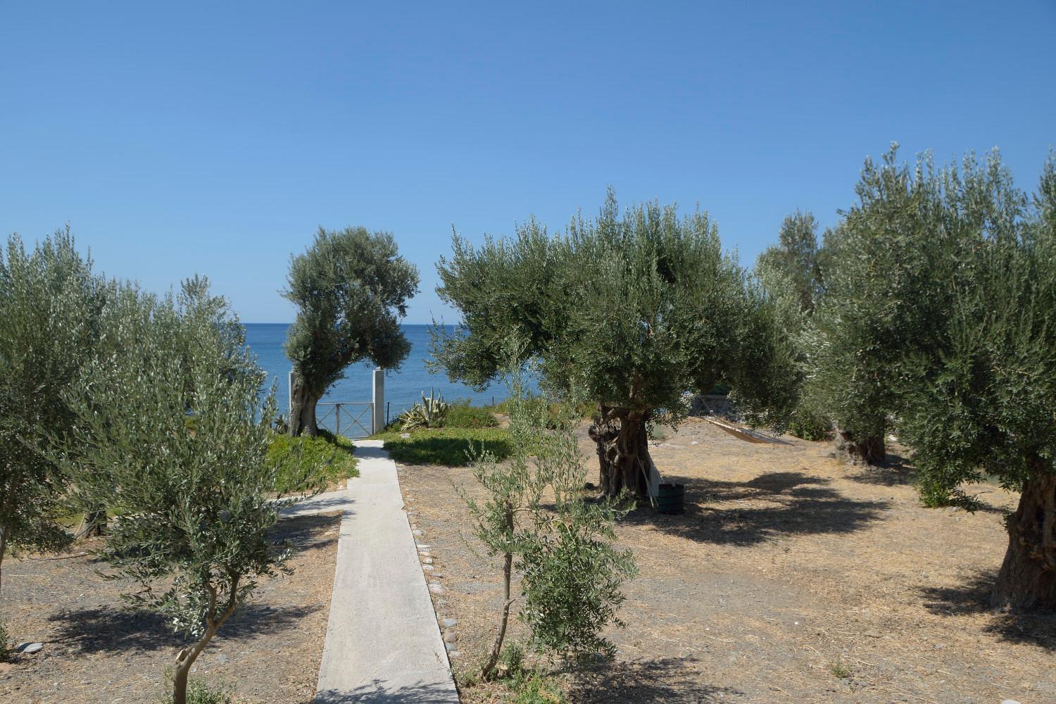 Melinda Holiday House Πλωμάρι Εξωτερικό φωτογραφία